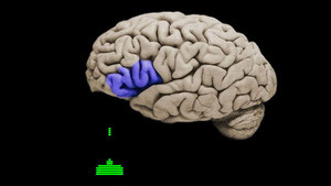 Scientists Prove Once Again That Playing Violent Video Games Alters Young Men's Brains #brain
