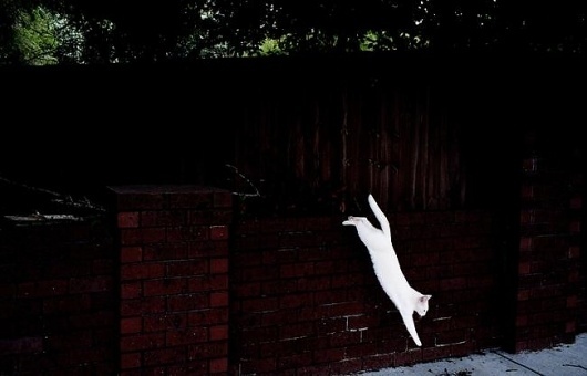 Gallery - London Festival of Photography #photography