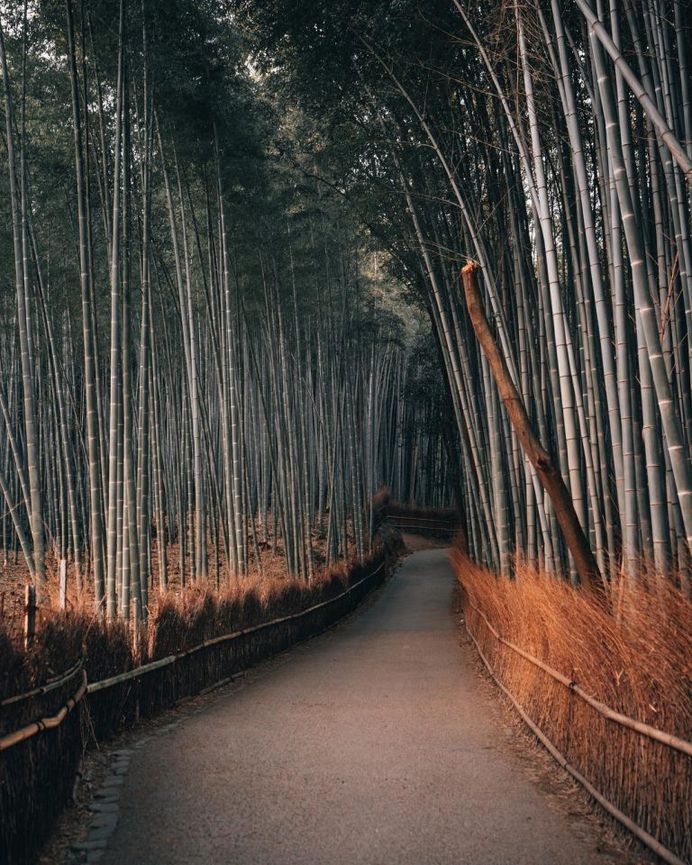 #instatravel: Urban, Landscape and Adventure Photography by Josh Perrett