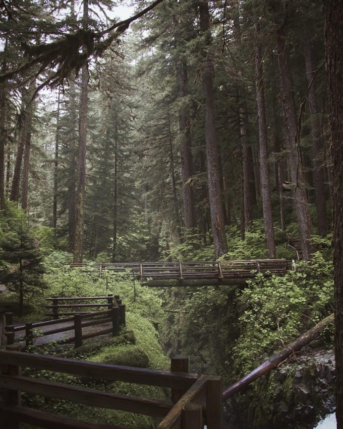 Gorgeous Landscapes of The East Coast by Jessica Olm