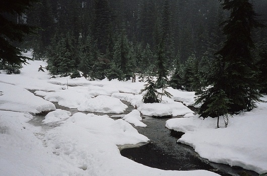All sizes | Untitled | Flickr - Photo Sharing! #marooned