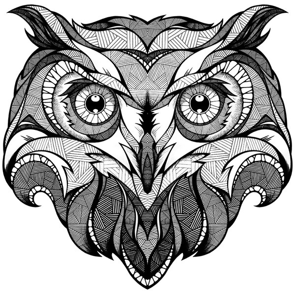 owl, totem drawing