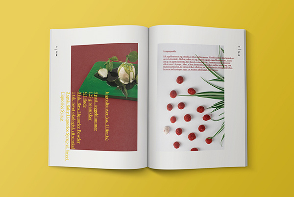 The Birthday on Behance #photos #icecream #fruit #food #spreads #ice #magazine