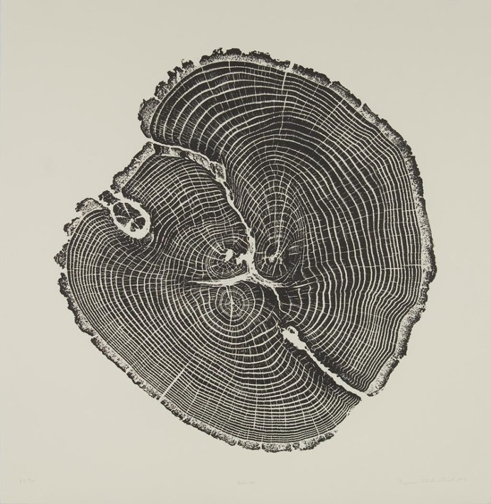 Black Oak