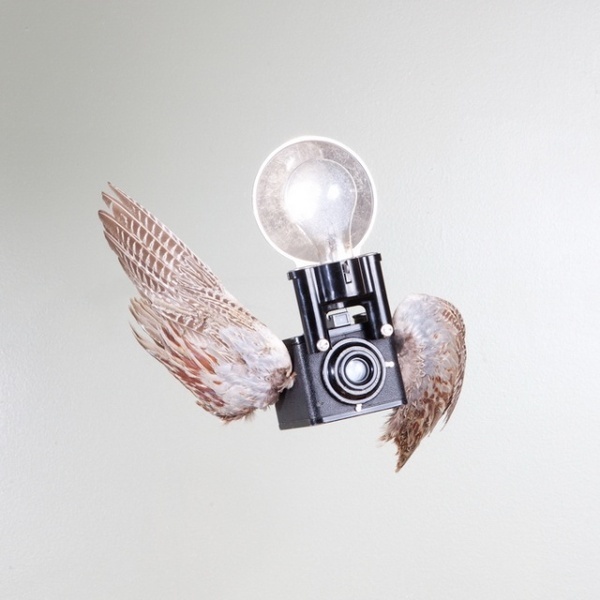 Photography by Paul Octavious #photography