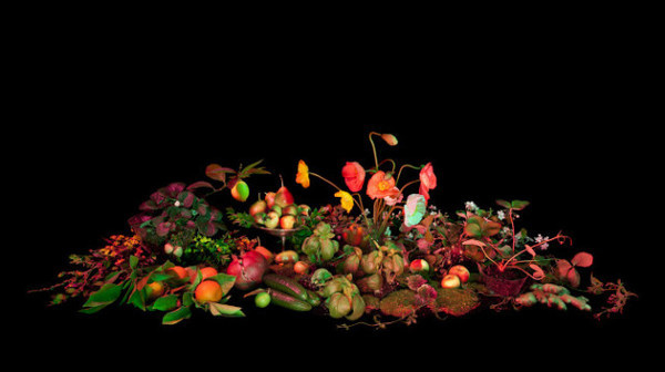 Book of Shadows by Amelia Bauer #inspiration #photography #light