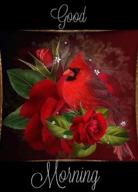 476+ Good Morning images, wishes, greetings, poems, gifs & more!