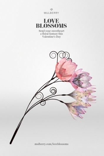 Creative Review - Mulberry says it with (digital) flowers #illustration #flowers #mulberry