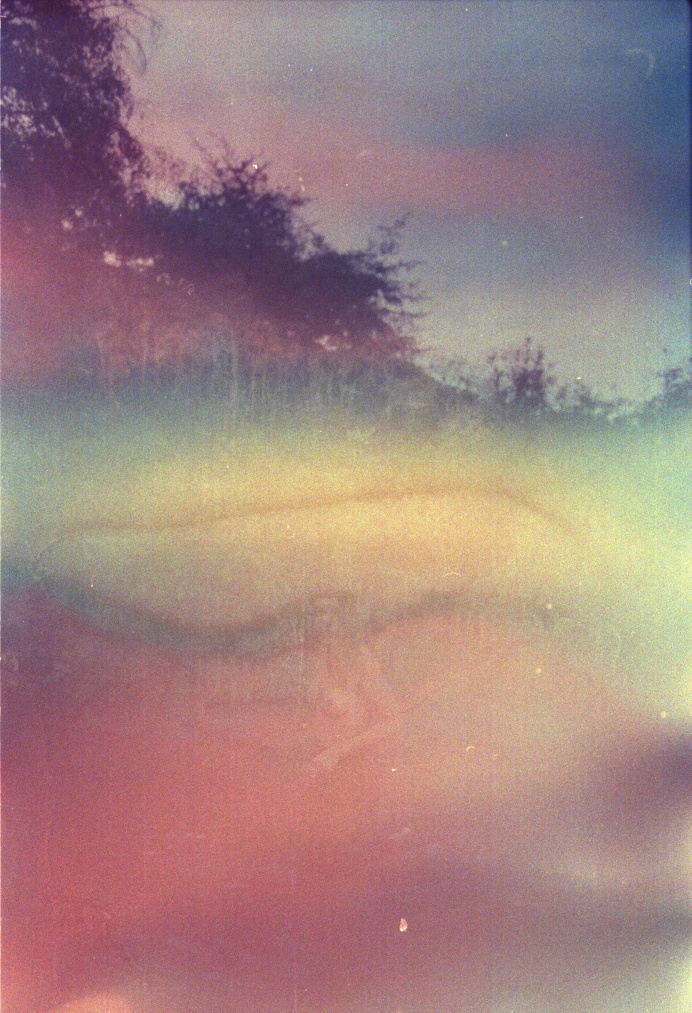 Tumblr : Tien Austin #photography #nature