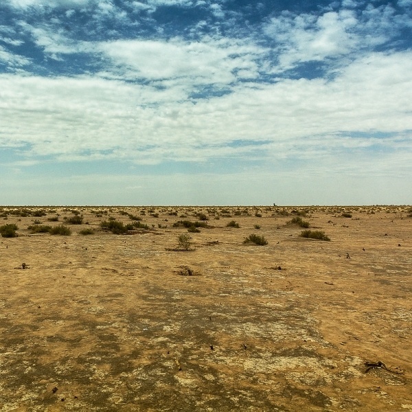 two halves #twohalves #foto #photography #art #horizon