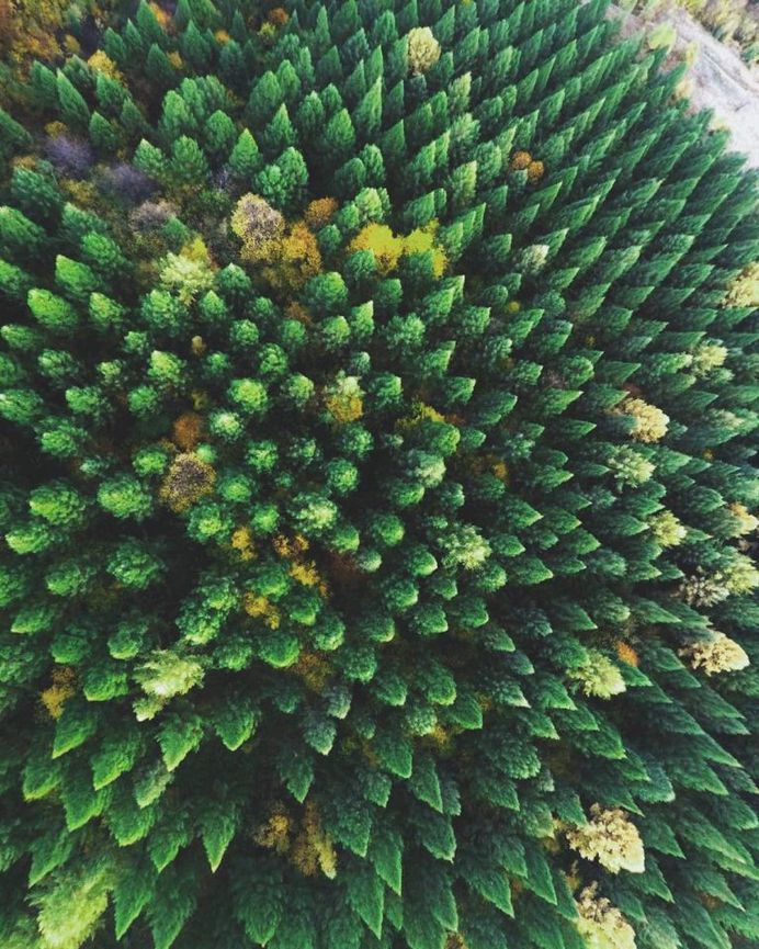 Rural Ukraine From Above: Drone Photography by Nazarii Doroshkevych