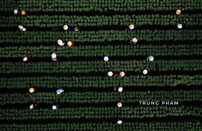 Vietnam From Above: Beautiful Drone Photography by Trung Pham