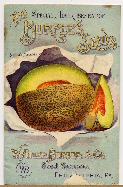 Vintage seed packaging