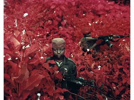Richard Mosse | Photography #mosse #photography #aerochrome #infrared