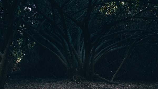 Photography by Masakazu NaganennBeautiful shoots by Masakazu Nagane, talented semi-professional photographer and production assistant, w #inspration #photography #art