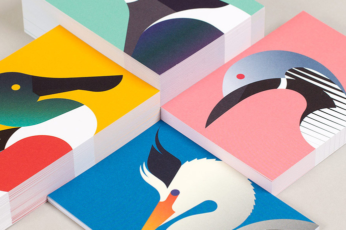 1a.jpg #birds #build