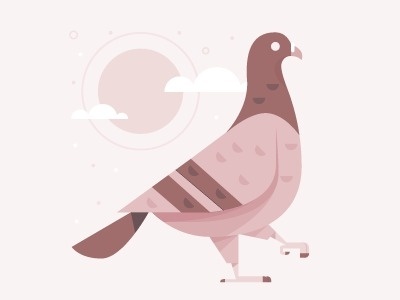 Pigeon #illustration