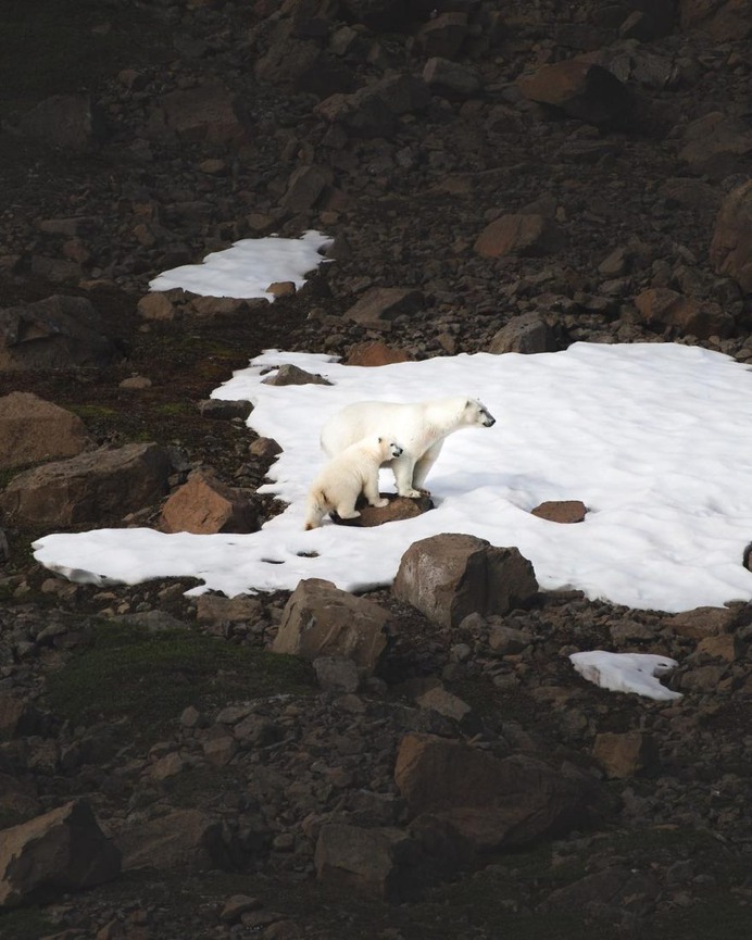 The Silent Arctic Photographic Expedition in Greenland by Joe Shutter