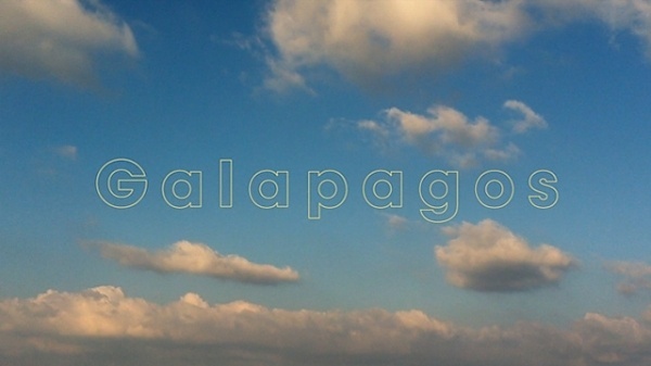 Tumblr #narwhal #gale #galapagos #domain #ana #no