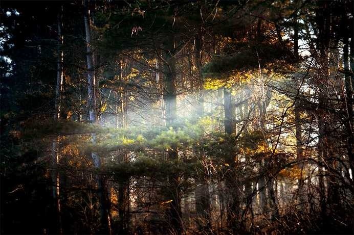 Photography by Grant Gill #inspiration #photography #art