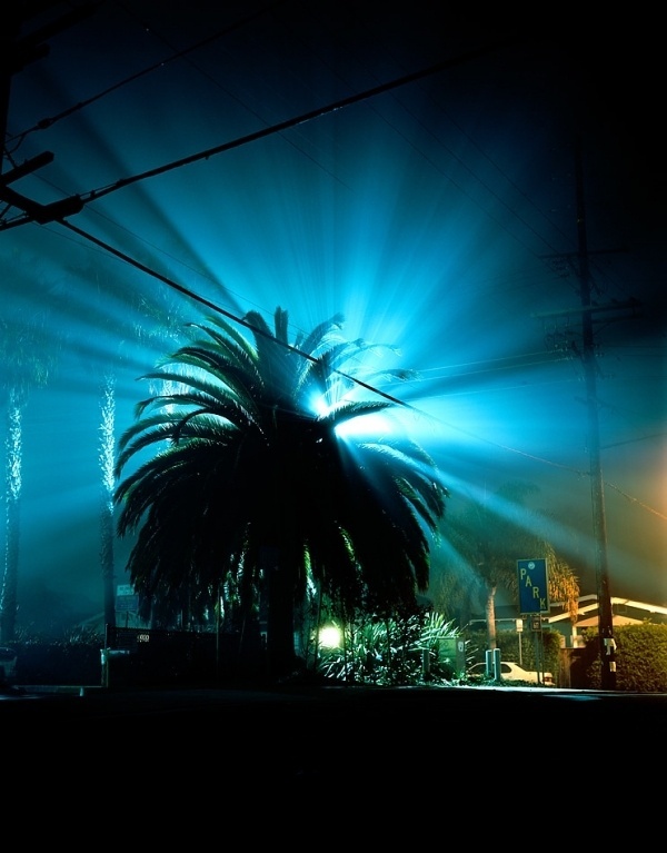 Venice, CA. | Amanda Friedman Photography #night #landscape