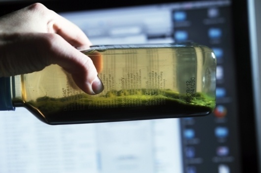 Early sunday morning | Luxirare #luxirare #water #bottle #fluid #spinach
