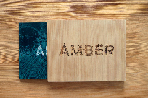 Amber book case by Max Olson #design #graphic #quality #typography