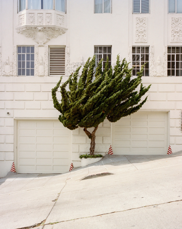 Marc Alcock | PICDIT