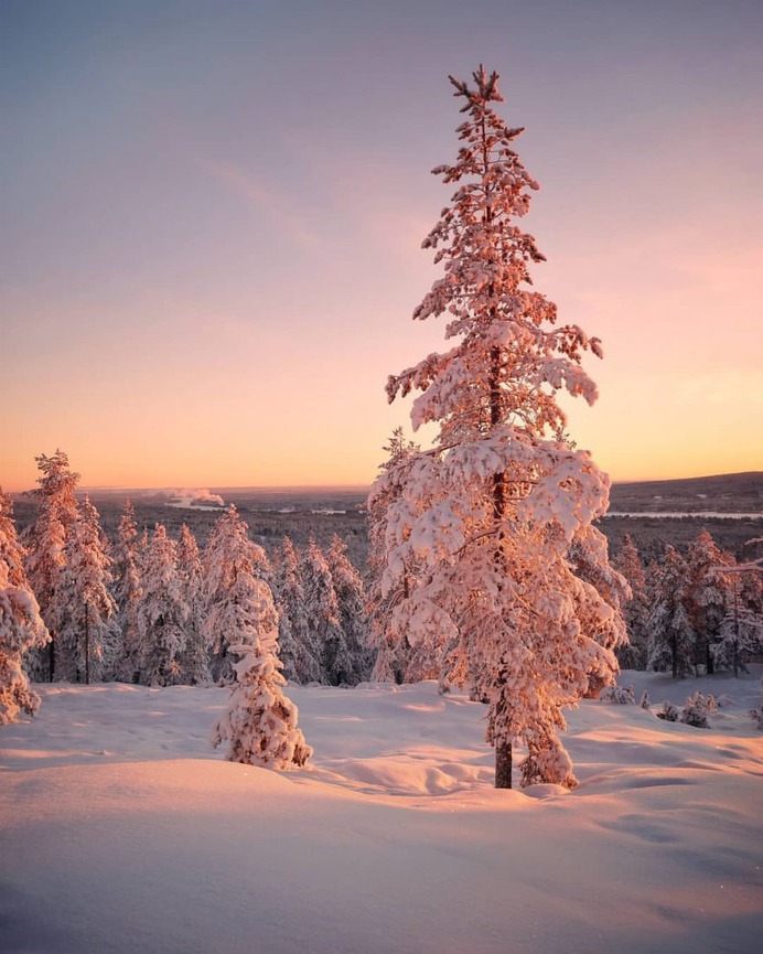 Mesmerizing Winter Wonderland Photos of Lapland in Finland