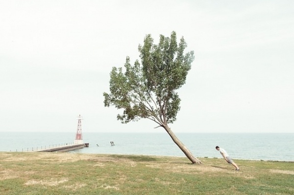 Penche avec ton arbre | La boite verte #octavius #paul