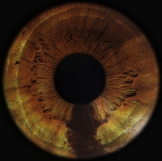 Portfolio | Special Projects « RANKIN #eyescapes #photography #rankin