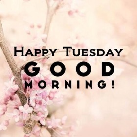 - Good Morning