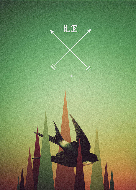 photo #geometry #branding #hipster #retro #geometric #bird #vintage #poster #logo #pallete