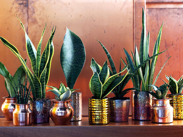 Modern Bathroom Decor with Live Plants - #bath, #interior, #decor, #plants, #greenery