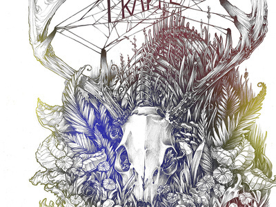 Blitzen Trapper #illustration