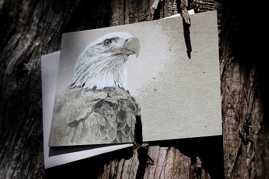 Snail's Pace Bald Eagle Illustration - Note Card #pace #eagle #snais #stationery #paper