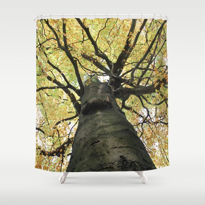 Treetop from Below Shower Curtain