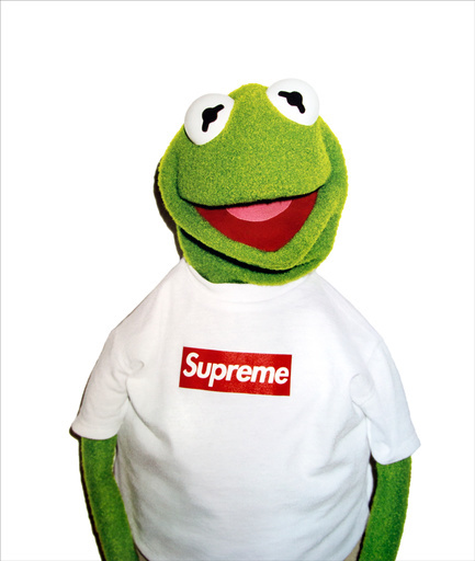 Terry Richardson Kermit, 2015 Supreme