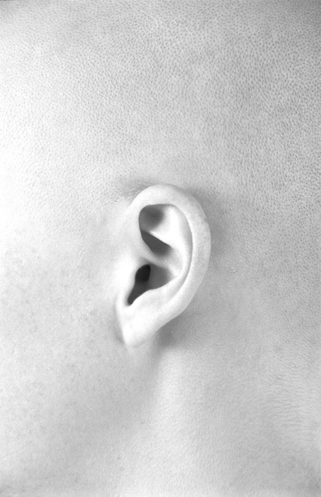 http://solitarybrother.tumblr.com/ #white #photo #black