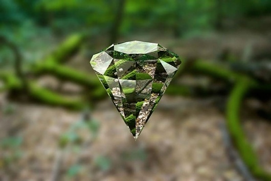 Justin : Survival Mode #photo #jewelery #green