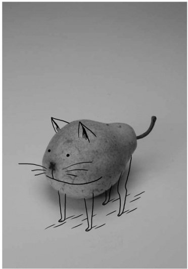 Lustik #illustration #cat #pear #quentin vijoux