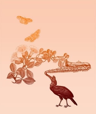 Eduardo Recife #saxophone #butterflys #bird #music #collage