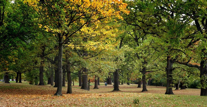Seasonal changes downunder - Photo #12 - Beautiful Free Stock Photos