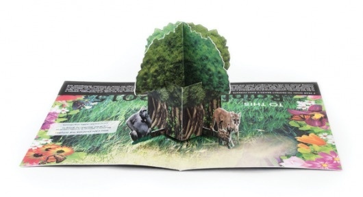 Rainforest Pop-Up Mailer on the Behance Network #pop #rainforest #behance #up #network #mailer