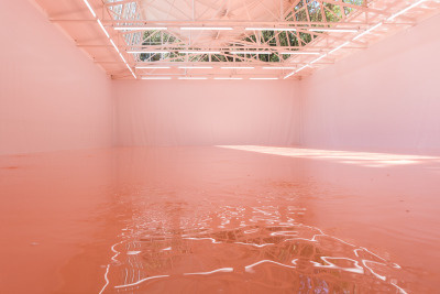 Pamela Rosenkranz at the Swiss Pavilion, Venice.