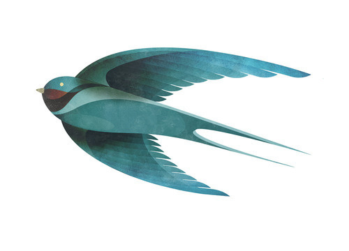Designersgotoheaven.com Â Strong by Andrew Lyons. #swallow #illustration #bird