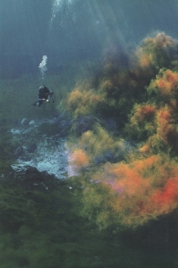 269160515199407685_k3z9lxdw_c.jpg (JPEG Image, 554 × 833 pixels) #cloud #geographic #scuba #national #underwater