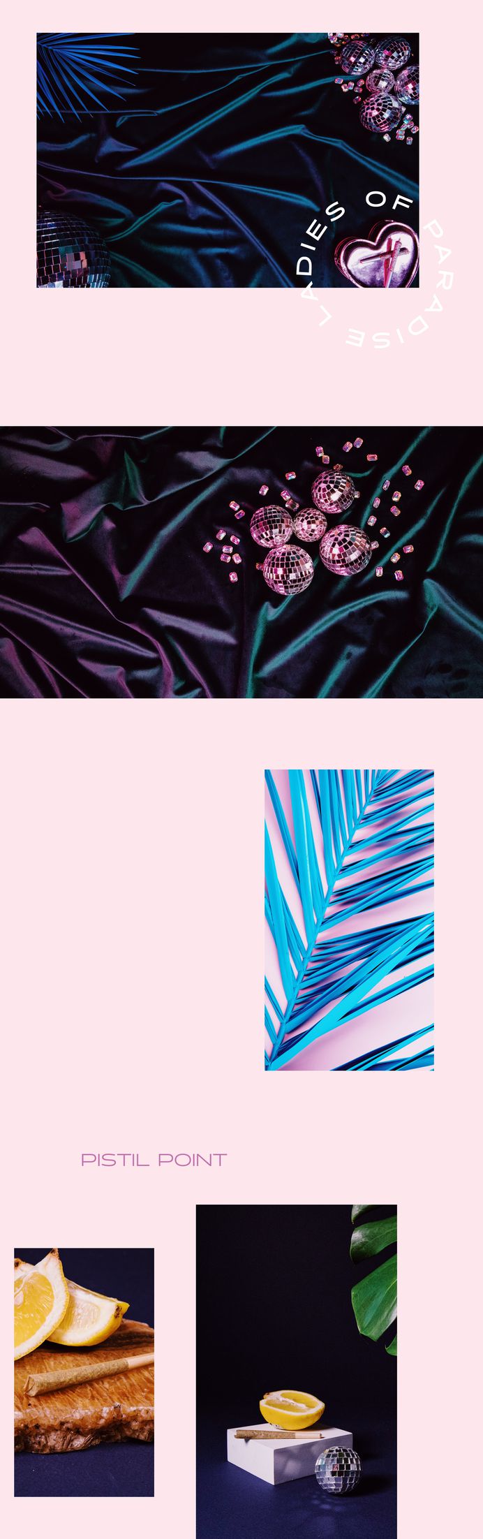 Ladies of Paradise - Creative Work Week on Behance #roscoflevo #jensanchez #bradfuture #wethemus #art #design #agency #webdesign #branding #photography #discoball #ladiesofparadise #harleecase #weed #marijuana #edibles