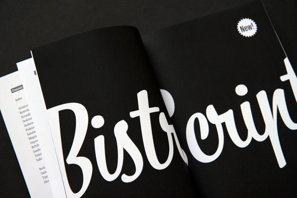 Bistro Script #type #script