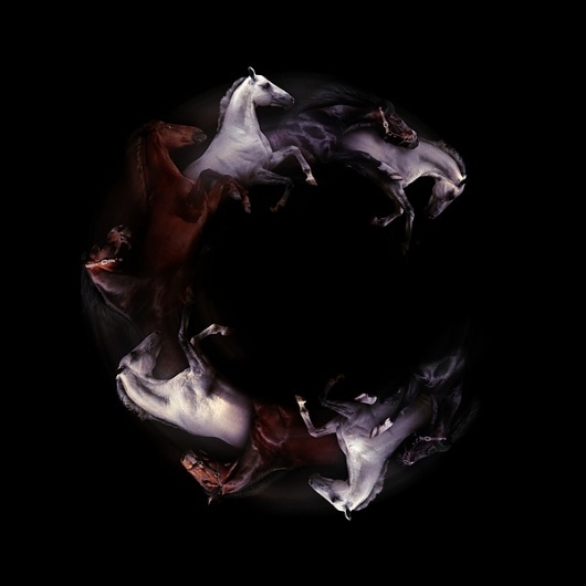 Chanel Equestrian on the Behance Network #letter #horse